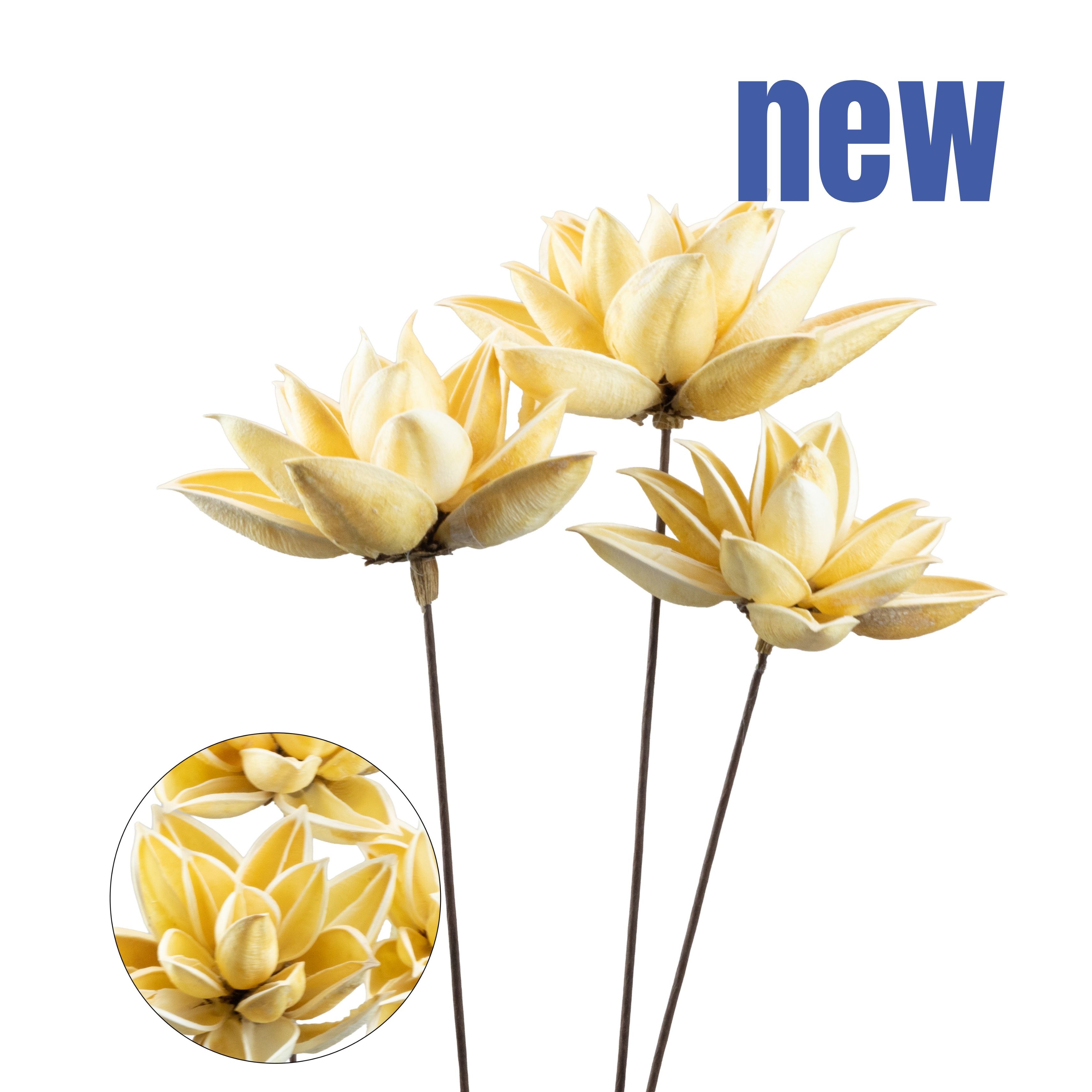 Preserved Zijin Flower, 3 pcs